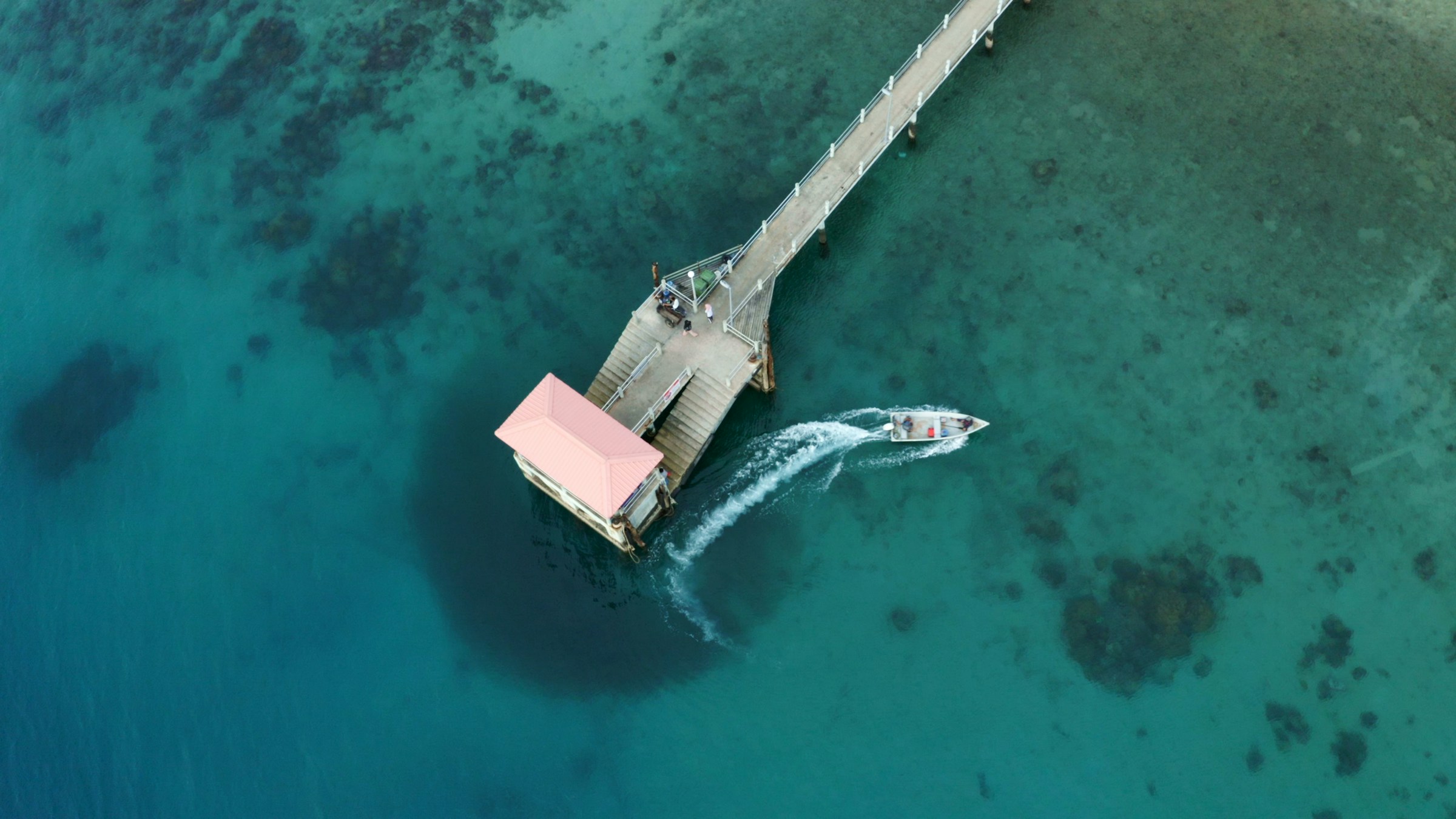 manon-brousse-yZgtNQoCdh0-unsplash