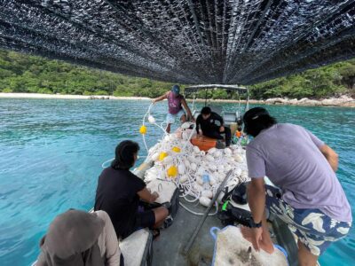 Buoy line on a boat prior to being laid on a snorkelling site in Redang