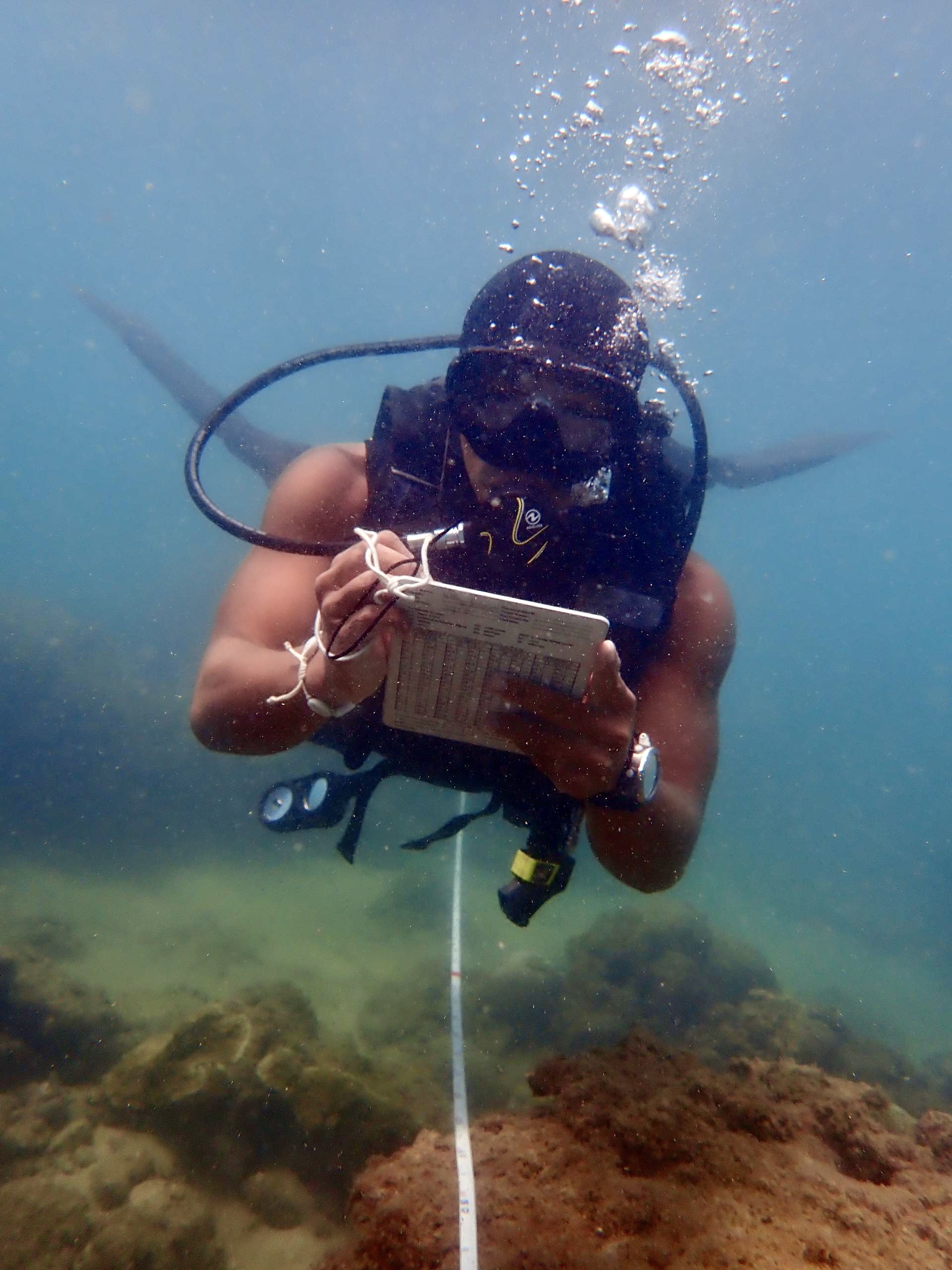 RMCG scuba diver with a dive slate over a transect engaged in Eco Dive survey of coral reef in Redang
