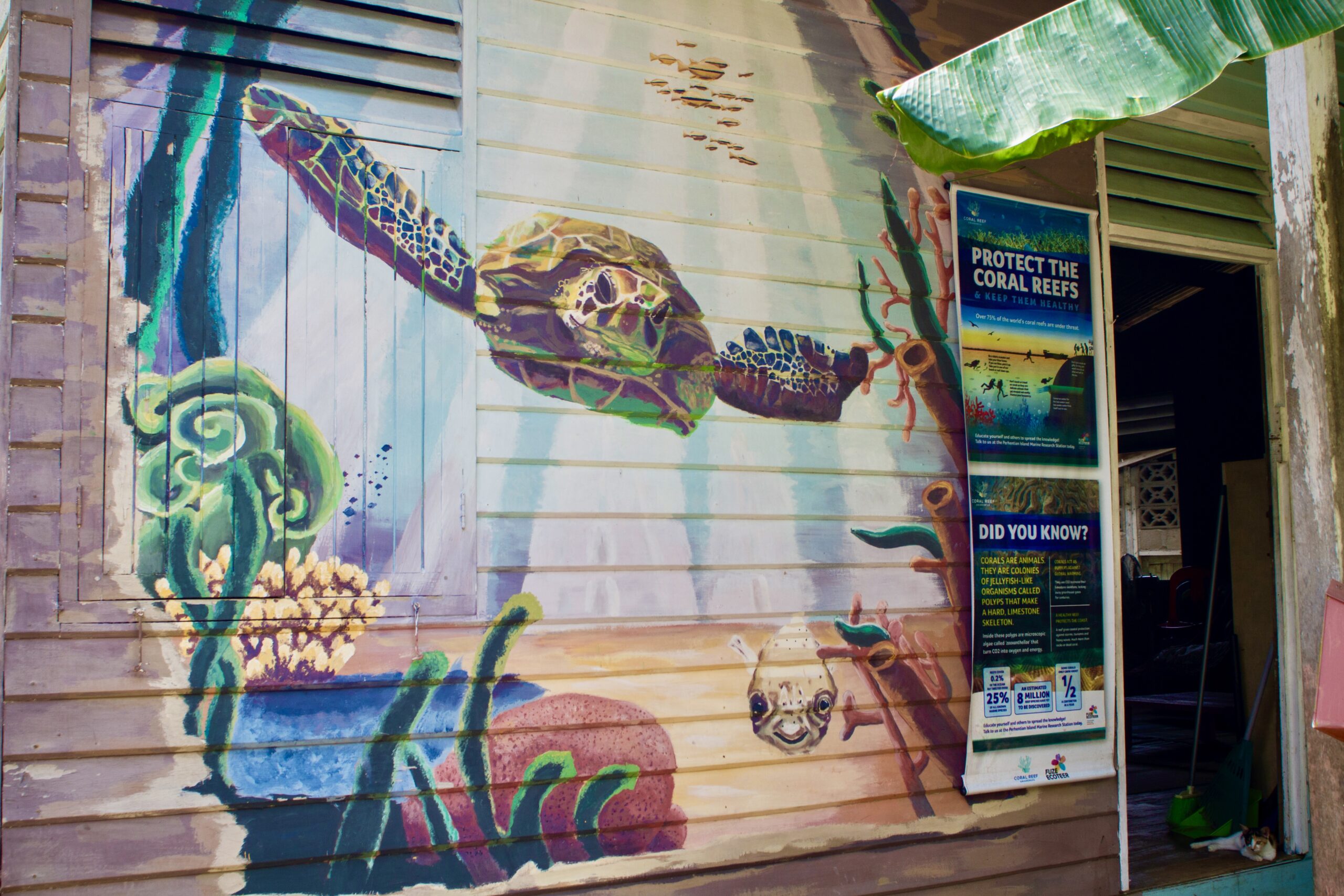 Mural depicting a turtle and a pufferfish on the exterior wall of the Perhentian Marine Research Station house.