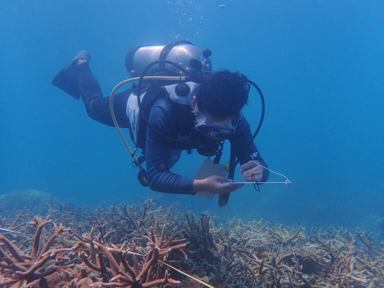 Reef Check scuba diver over coral reef with an underwater slate carrying out an EcoDiver survey