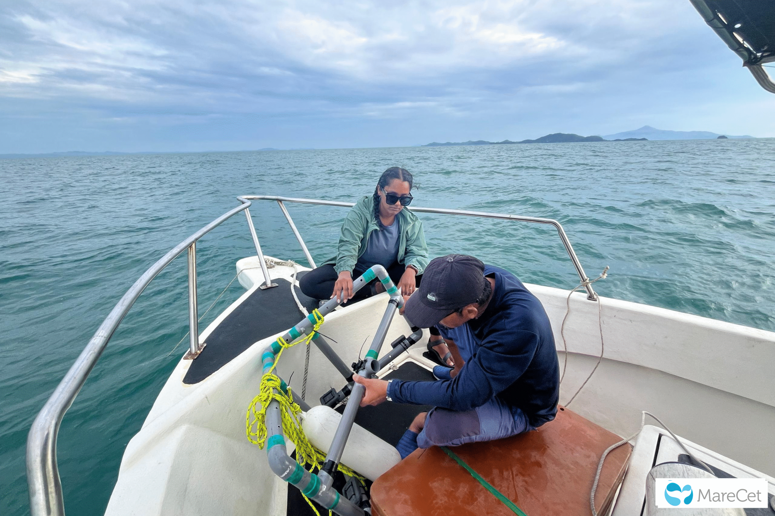 Volunteers at the prow of a research boat with MareCet biologists for marine mammals conservation