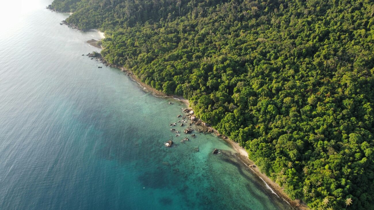 lester-8LpzCGbf5yc-unsplash