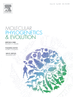 Phylogenomics of the genus Tursiops and closely related Delphininae reveals extensive reticulation among lineages and provides inference about eco-evolutionary drivers
