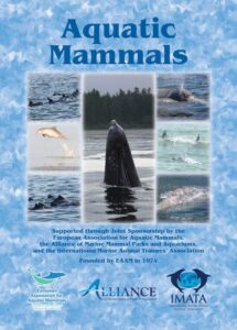 No danger in sight? An observation of sperm whales (Physeter macrocephalus) in marguerite formation off Muscat, Sultanate of Oman