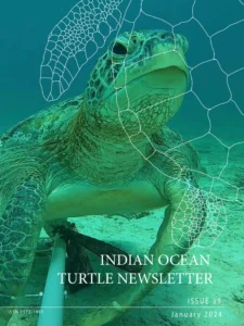 Reduced General Health and Reproductive Success in Green Turtles Across Extended Nesting Period