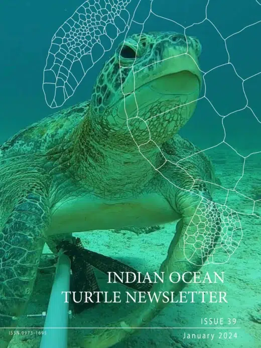 Do the Redang and Perhentian Marine Parks, Malaysia, provide sufficient protection to internesting female green turtles?