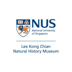 Whale temples are unique repositories for understanding marine mammal diversity in Central Vietnam