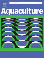 Improved coral nursery production through contingent heat stress events via depth manipulation