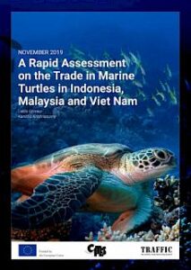 A Rapid Assessment on the Trade of Marine Turtles in Indonesia, Malaysia and Vietnam